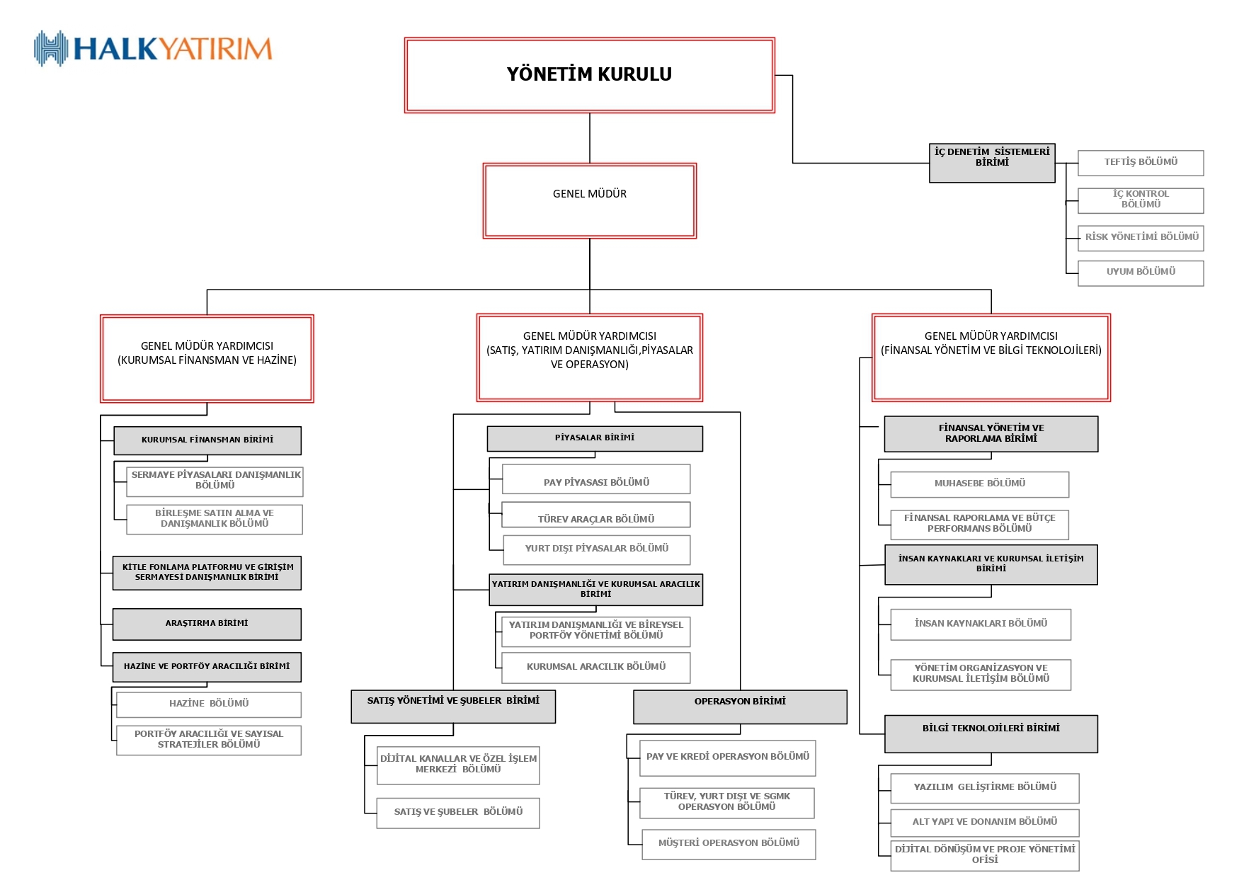 organizasyon yapısı